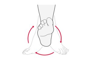 Ankle Rotation